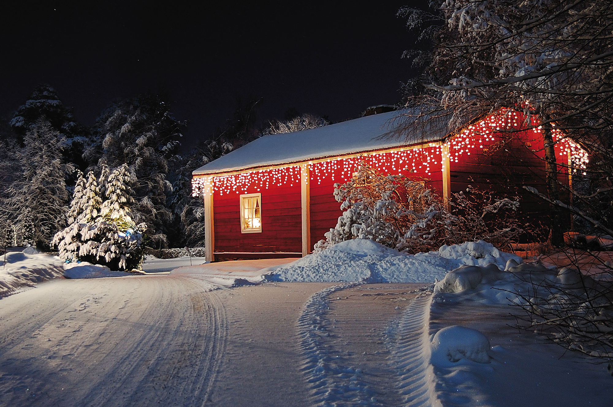 LED Rubber Icicle Light WW Black 5m - Showtec 41810