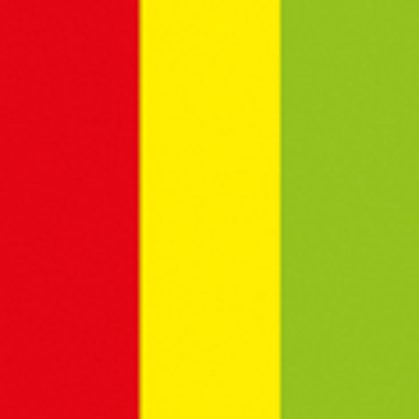 Electric Confetti Cannon Pro 80 cm, red/yellow/green, flameproof and biodegradable - Showgear 62070RGG