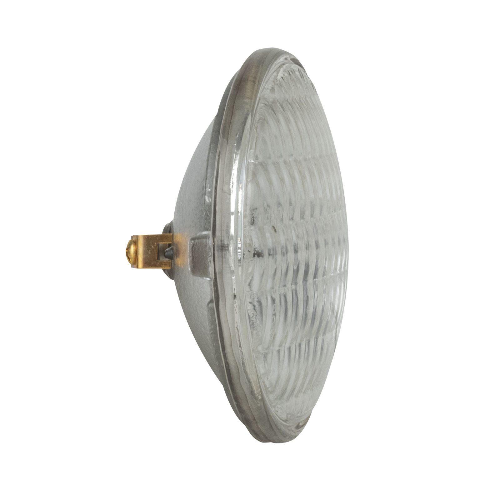 Par 36m-P alogena DWE 650W 120V dimmerabile - Showgear 80170