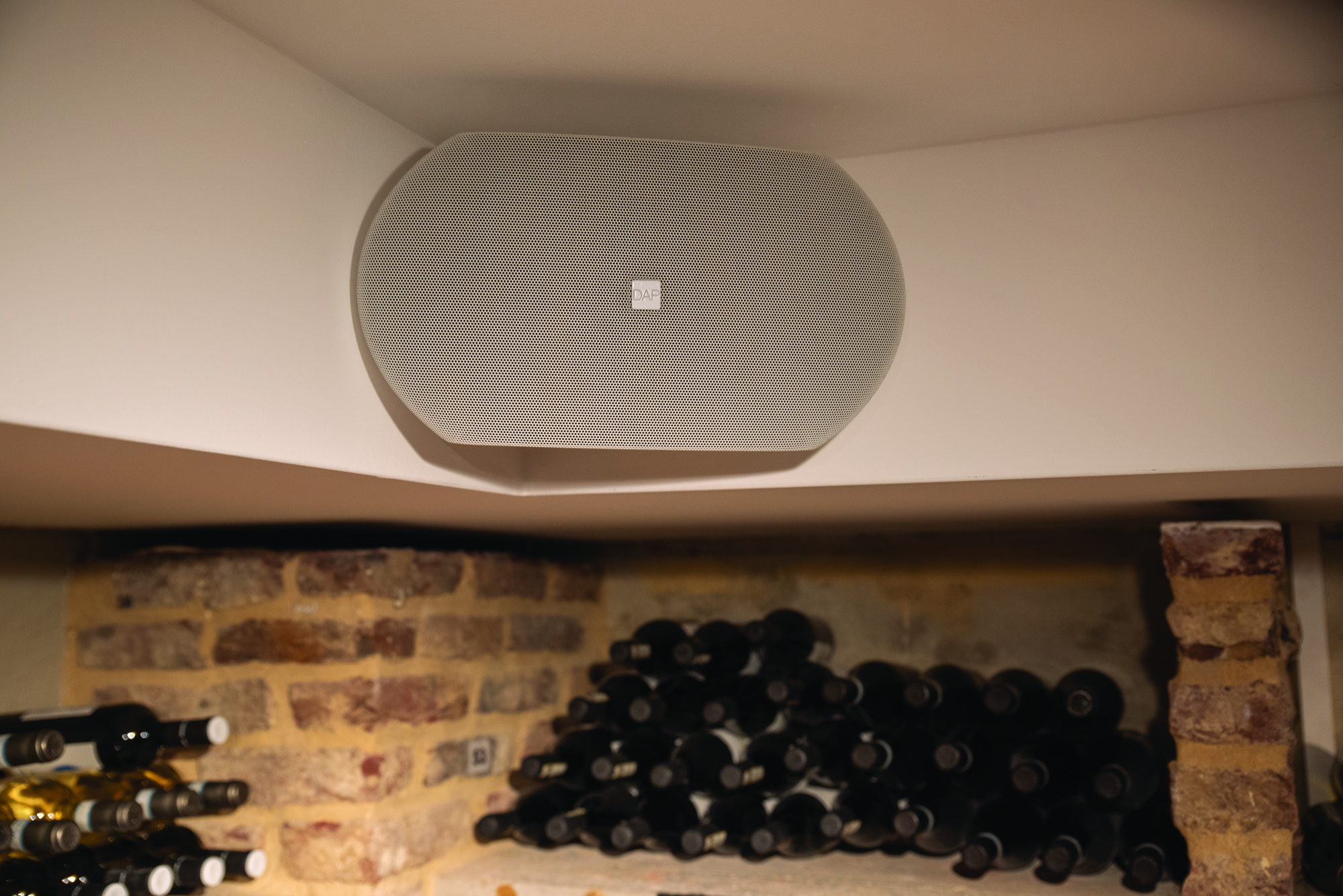 Diffusore passivo a muro 6" 16 ohm - DAP WMS6-B D3840