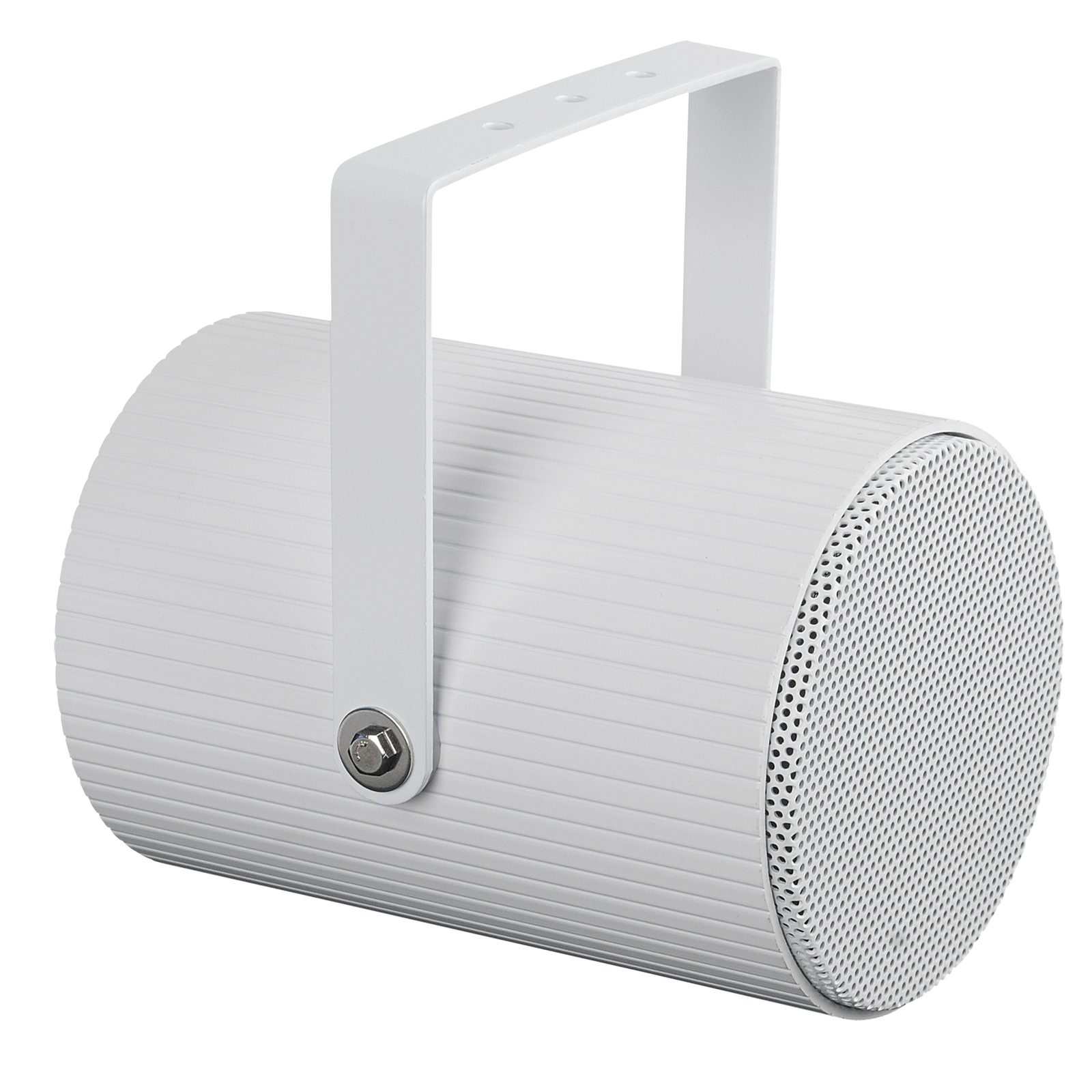 Altoparlante a proiezione unidirezionale passivo 5" 10W 100V IP55 - DAP D6553