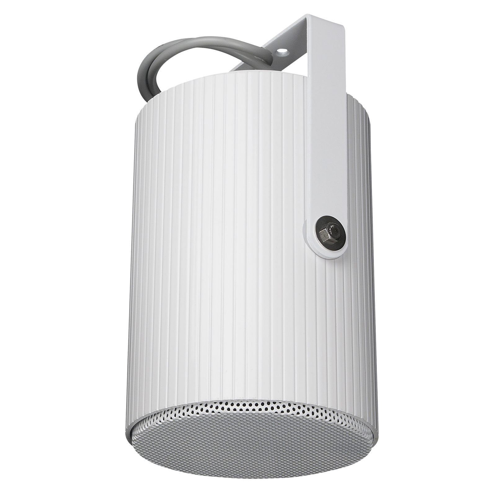 Altoparlante a proiezione unidirezionale passivo 5" 10W 100V IP55 - DAP D6553