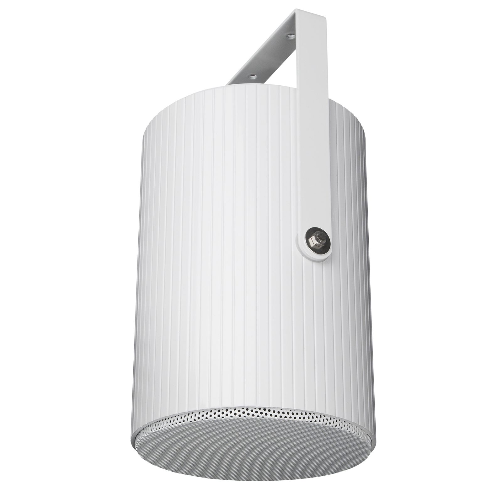 Altoparlante a proiezione unidirezionale passivo 6" 20W 100V IP55 - DAP D6554