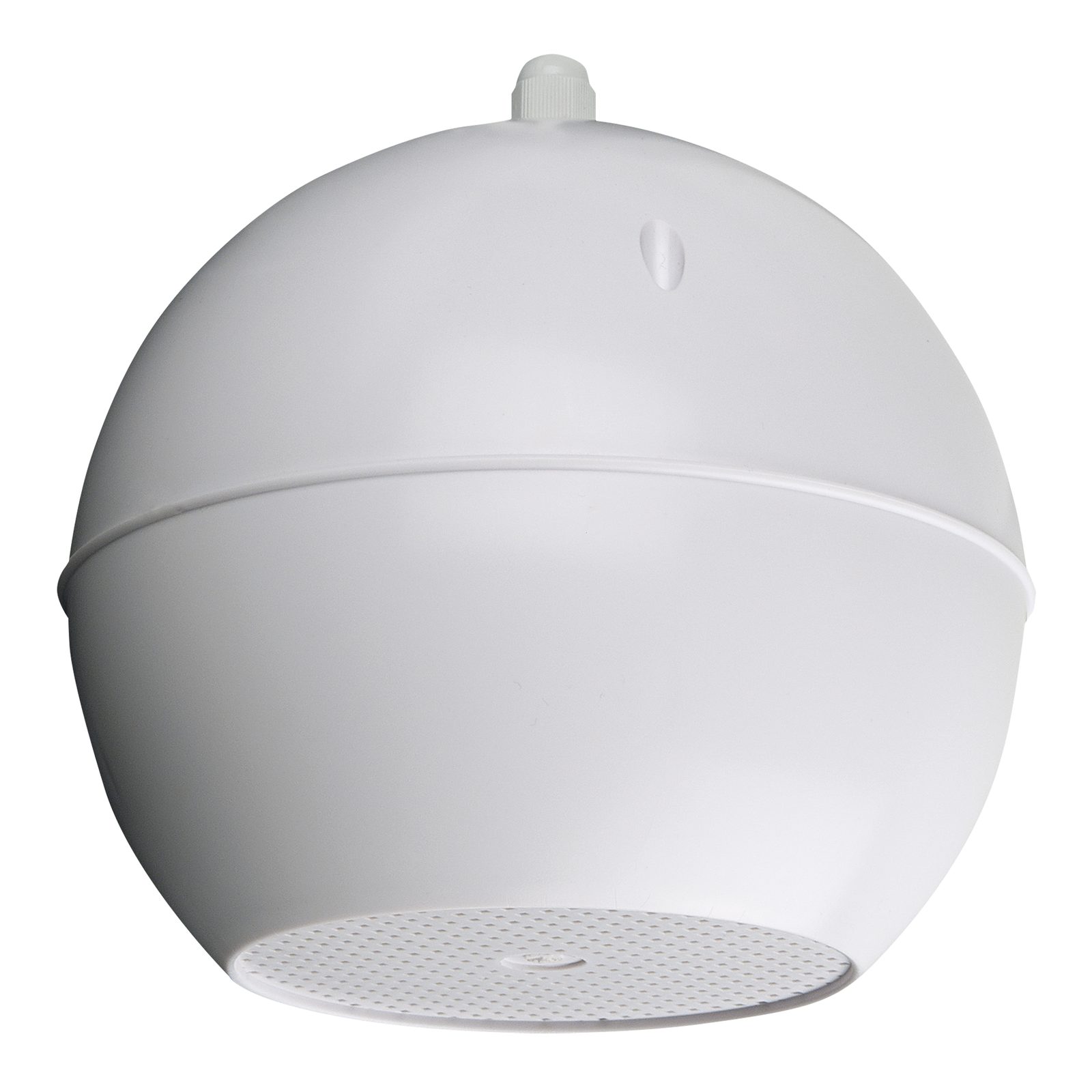Altoparlante da soffitto pensile passivo 5" 10W 100V IP55 - DAP D6563