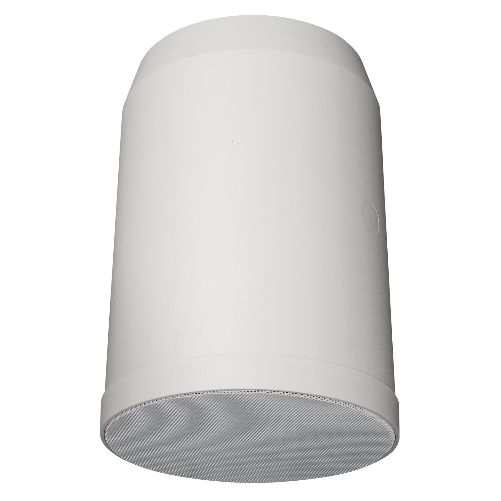 Altoparlante da soffitto pensile passivo bianco 6 pollici 20W 100V IP55 - DAP D6566