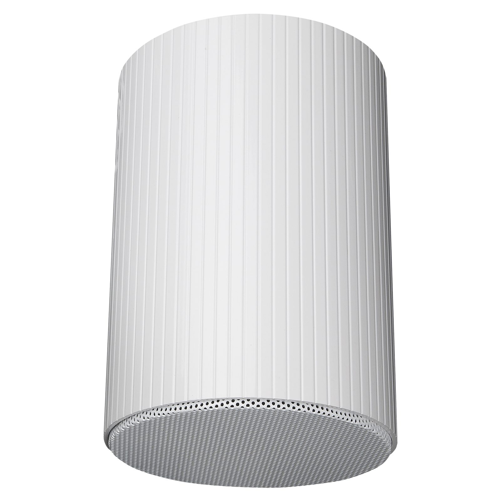 Altoparlante da soffitto pensile passivo bianco 6 pollici 20W 100V IP55 Coassiale - DAP D6567