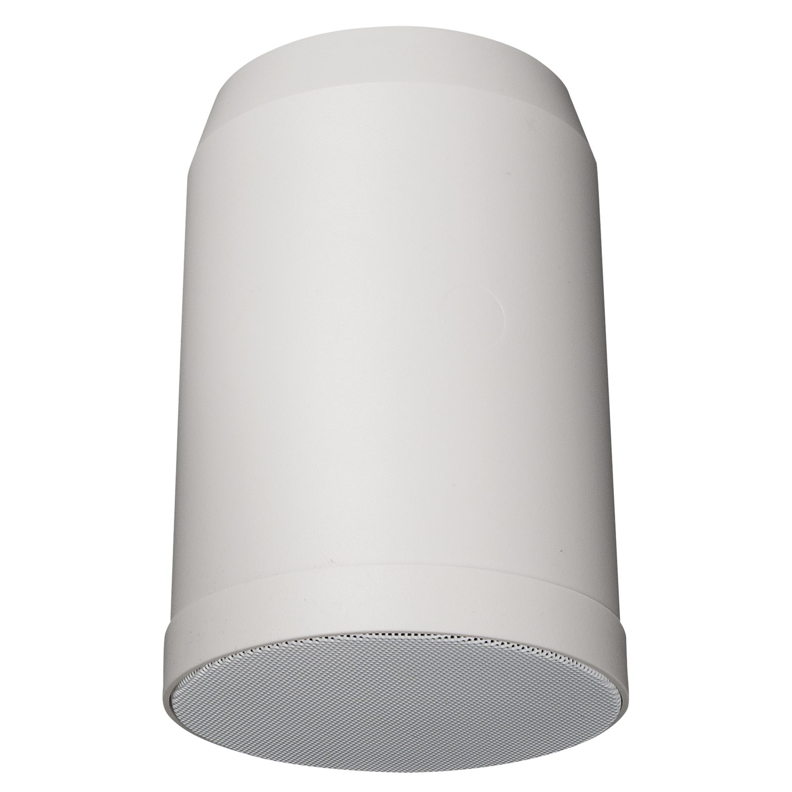 Altoparlante da soffitto pensile passivo bianco 5 pollici 10W 100V IP55 Coassiale - DAP D6568