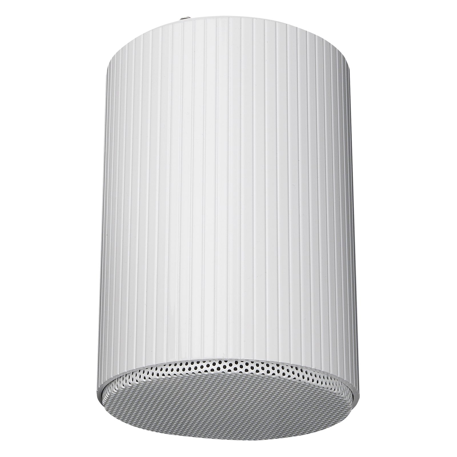 Altoparlante da soffitto pensile passivo bianco 5 pollici 10W 100V IP55 Coassiale Alluminio - DAP D6569