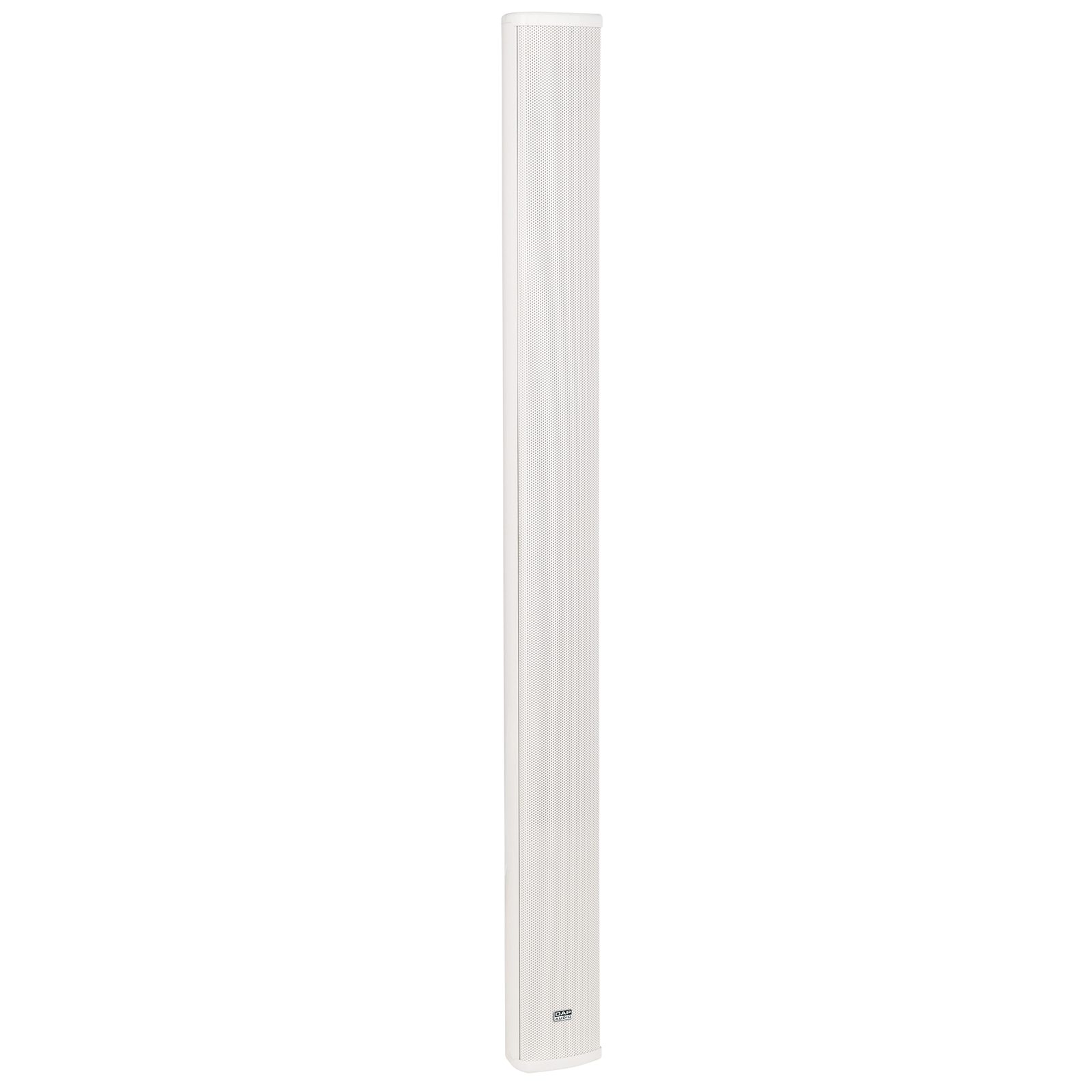 Altoparlante a colonna passivo 10x2" 50W 100V IP44 - DAP D6613