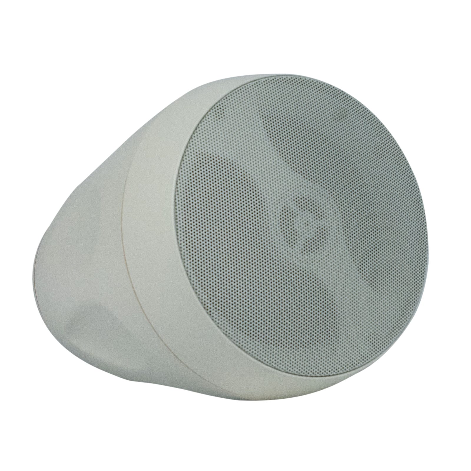 Diffusore sospeso passivo 30W 5.25" woofer 1" tweeter IP44 - DAP D6614W