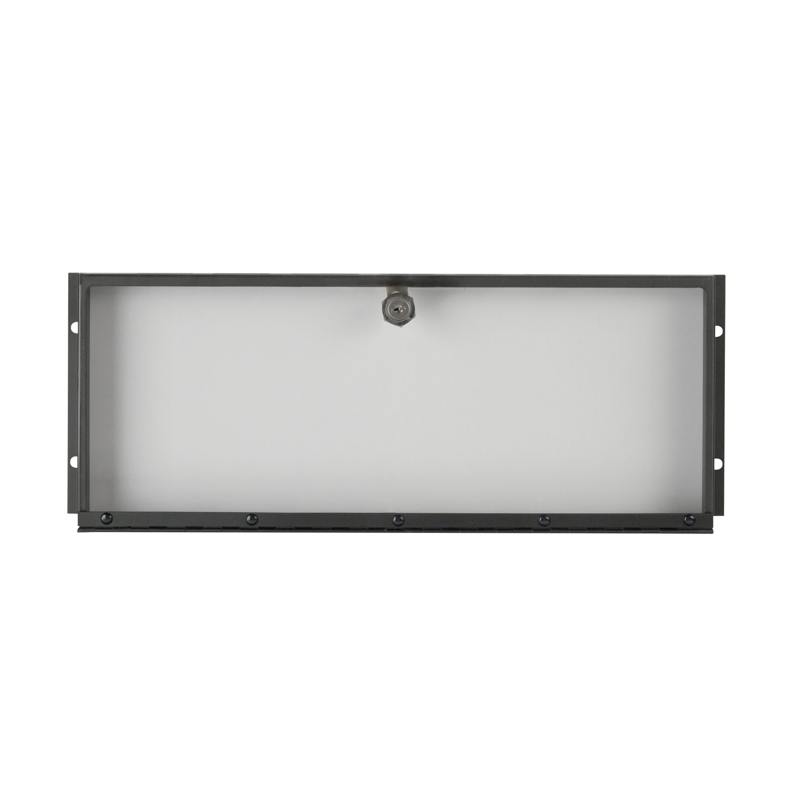 Pannello di protezione 19" 4U con serratura - Showgear D7869